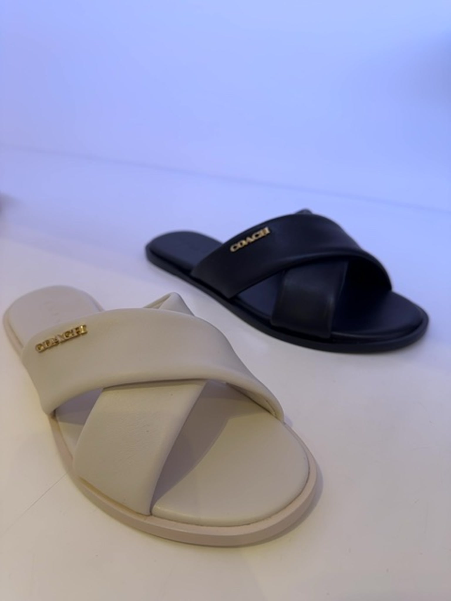 Coach CHK beigeCoach