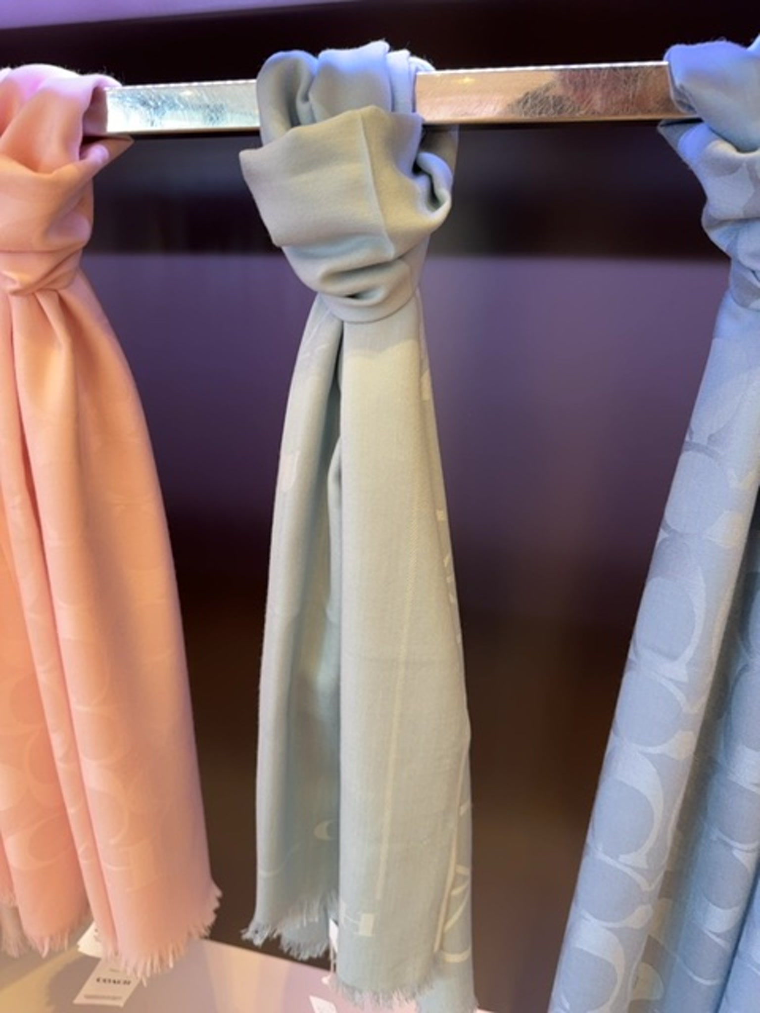 Coach light blue scarvesCoach