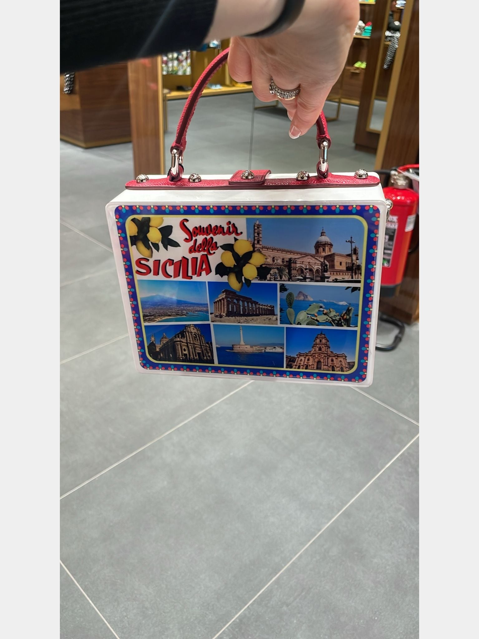 Dolce & Gabbana Borsa a Mano Cartolina DauphinDolce & Gabbana