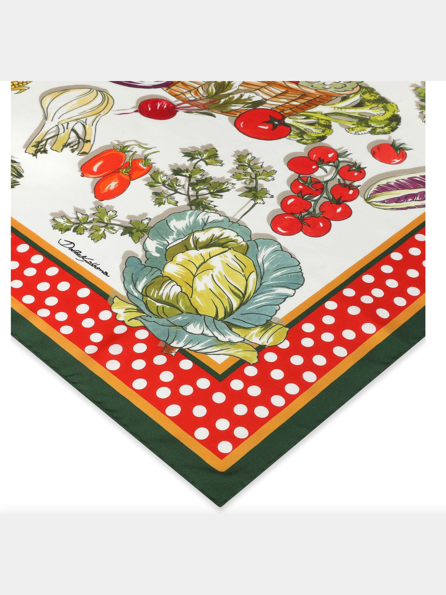 Dolce & Gabbana Vegetable - print Twill ScarfDolce & Gabbana