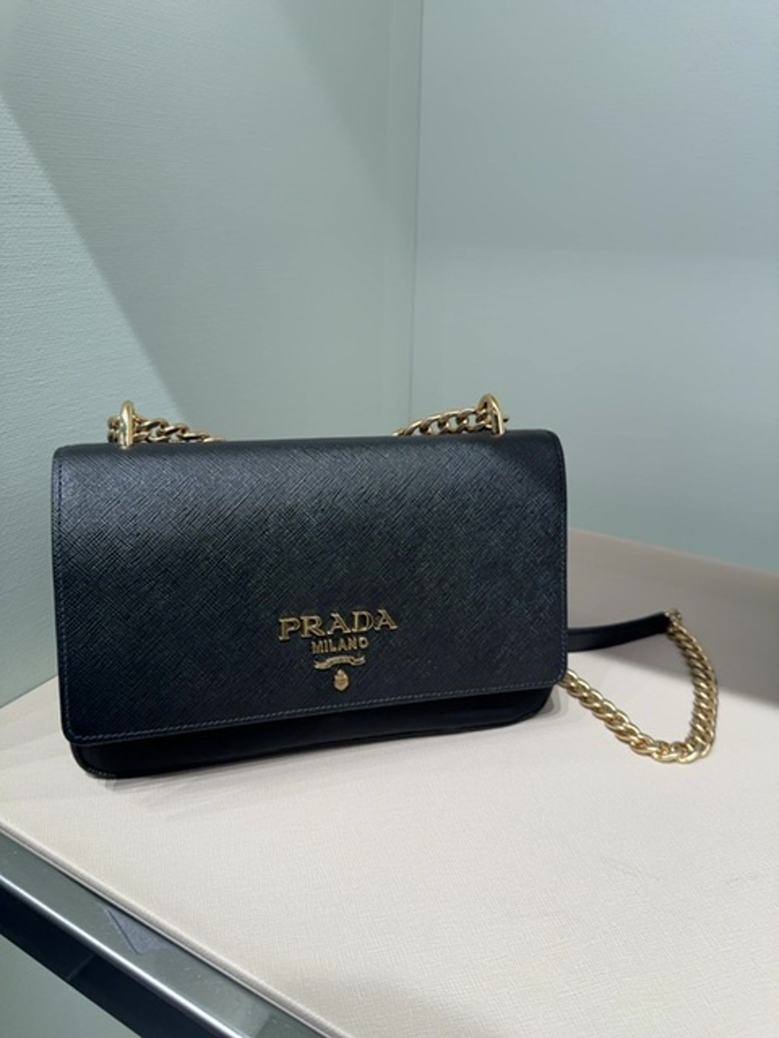 Prada BagPrada