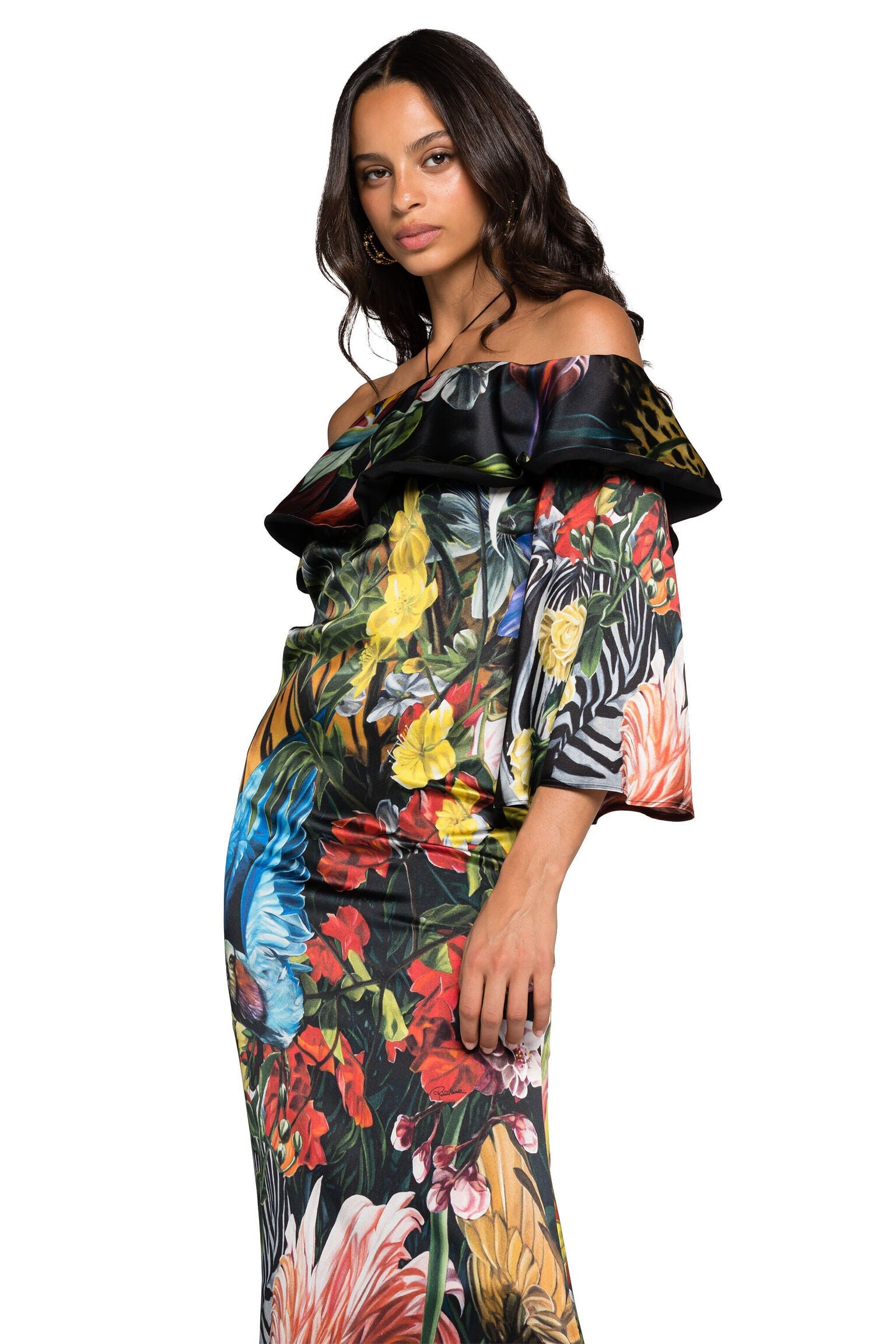 Roberto Cavalli Tropical - Print Ruffled Maxi DressRoberto Cavalli