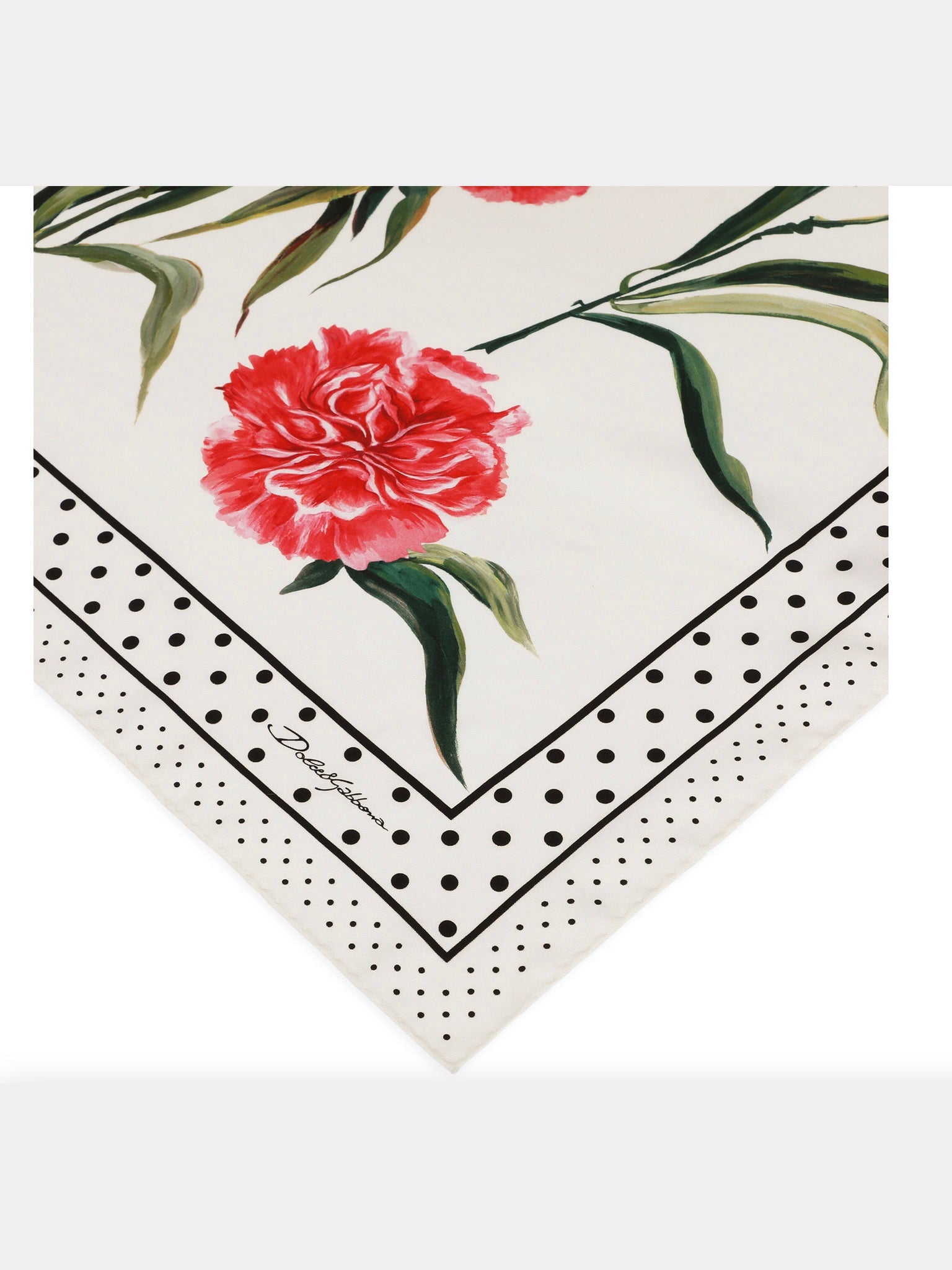 Dolce & Gabbana Vegetable - print Twill ScarfDolce & Gabbana