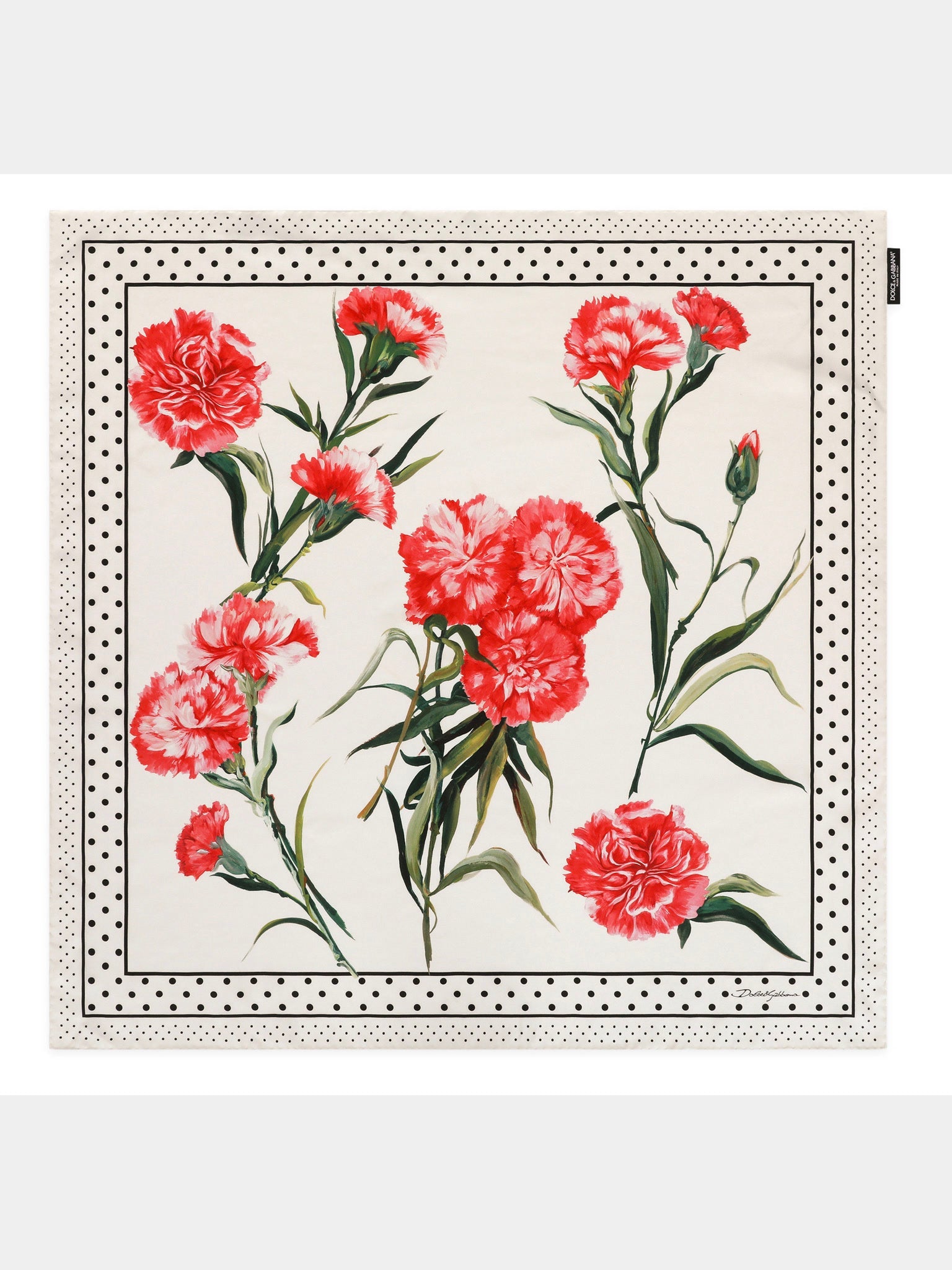 Dolce & Gabbana Vegetable - print Twill ScarfDolce & Gabbana