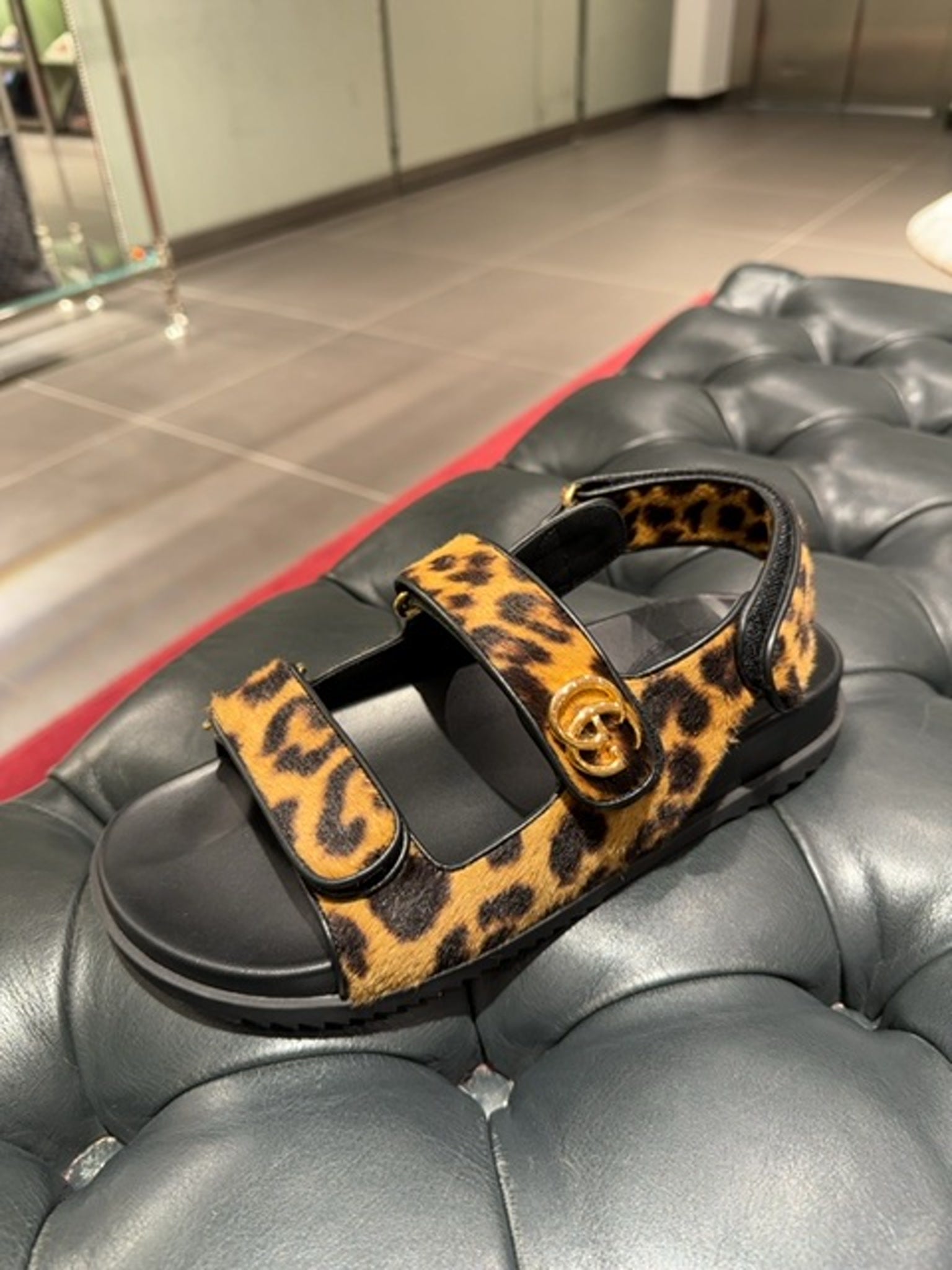 Gucci MoritzGucci