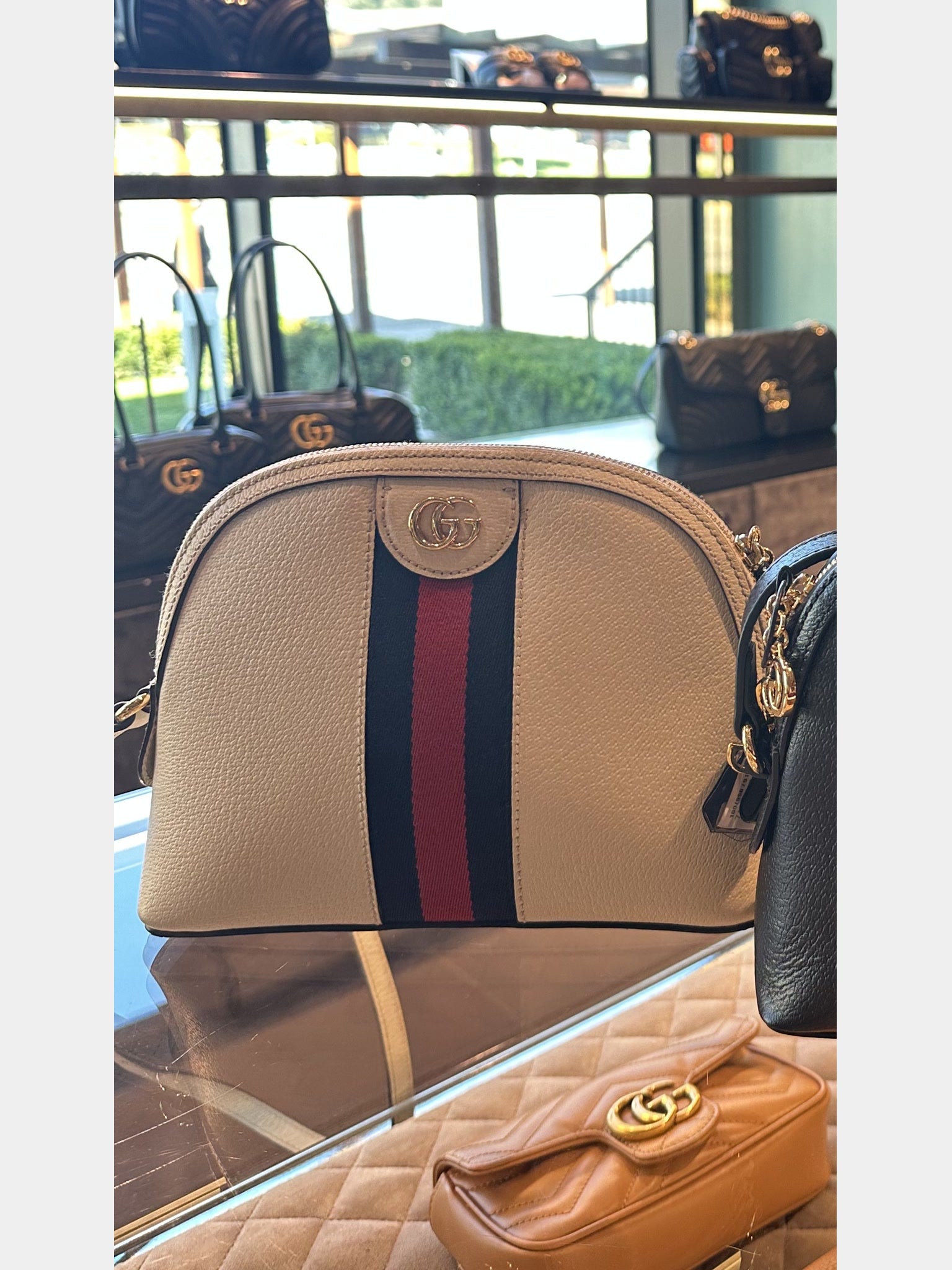 Gucci Ophidia Dollar Pigprint NS BagGucci