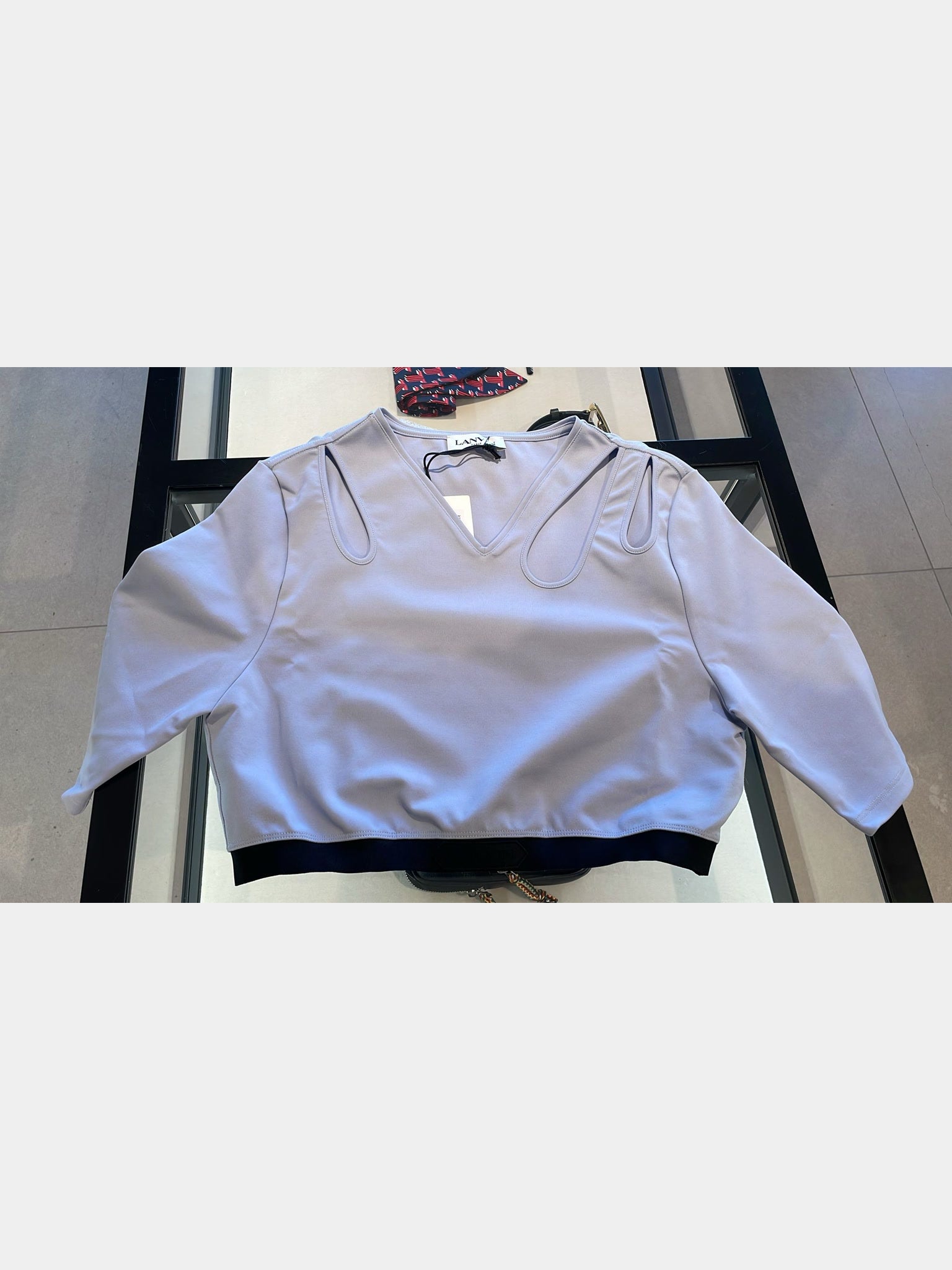 Lanvin Cutouts Cropped TopLanvin