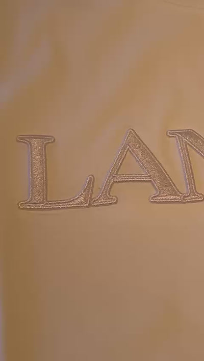 Classic Fit Lanvin Embroideri